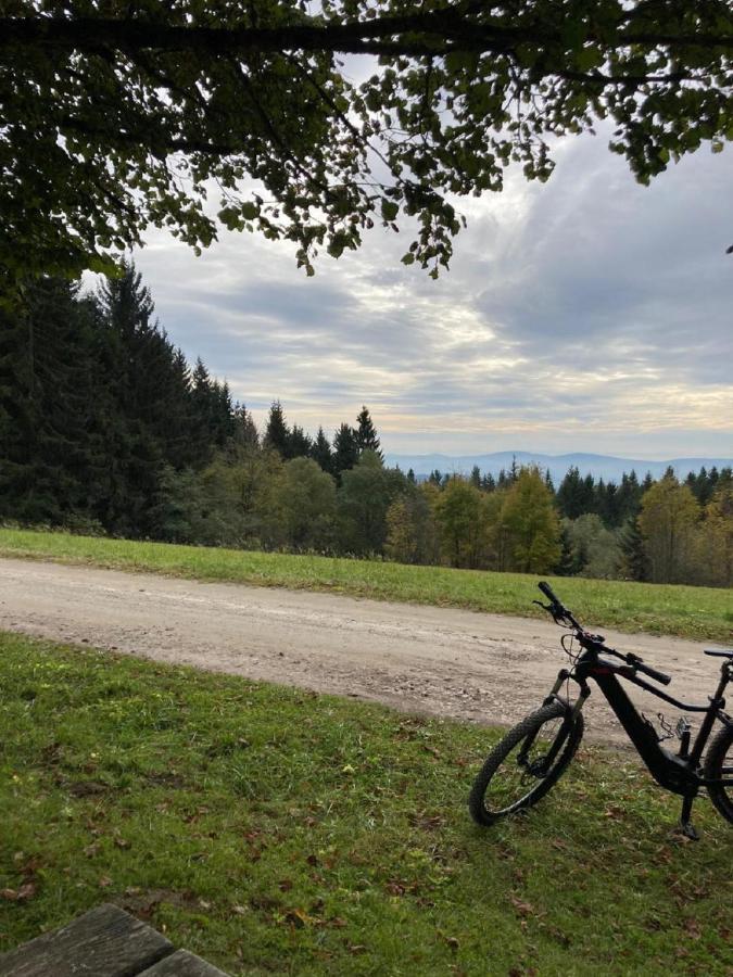 Traumblick Bayerischer Wald, Pool & Sauna, Getraenke, Klimaanlage Freyung Zewnętrze zdjęcie