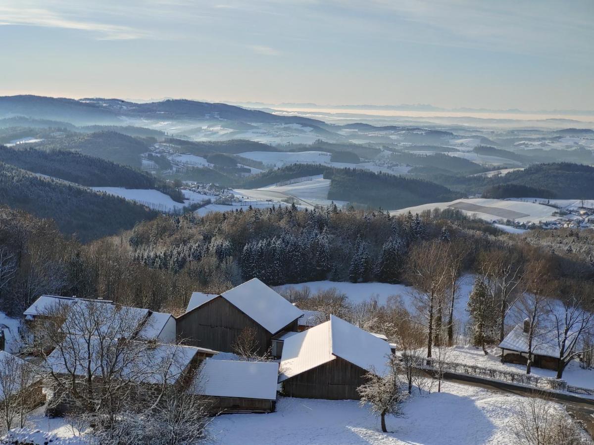 Traumblick Bayerischer Wald, Pool & Sauna, Getraenke, Klimaanlage Freyung Zewnętrze zdjęcie