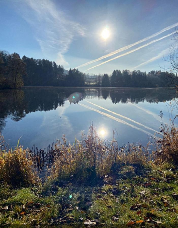 Traumblick Bayerischer Wald, Pool & Sauna, Getraenke, Klimaanlage Freyung Zewnętrze zdjęcie