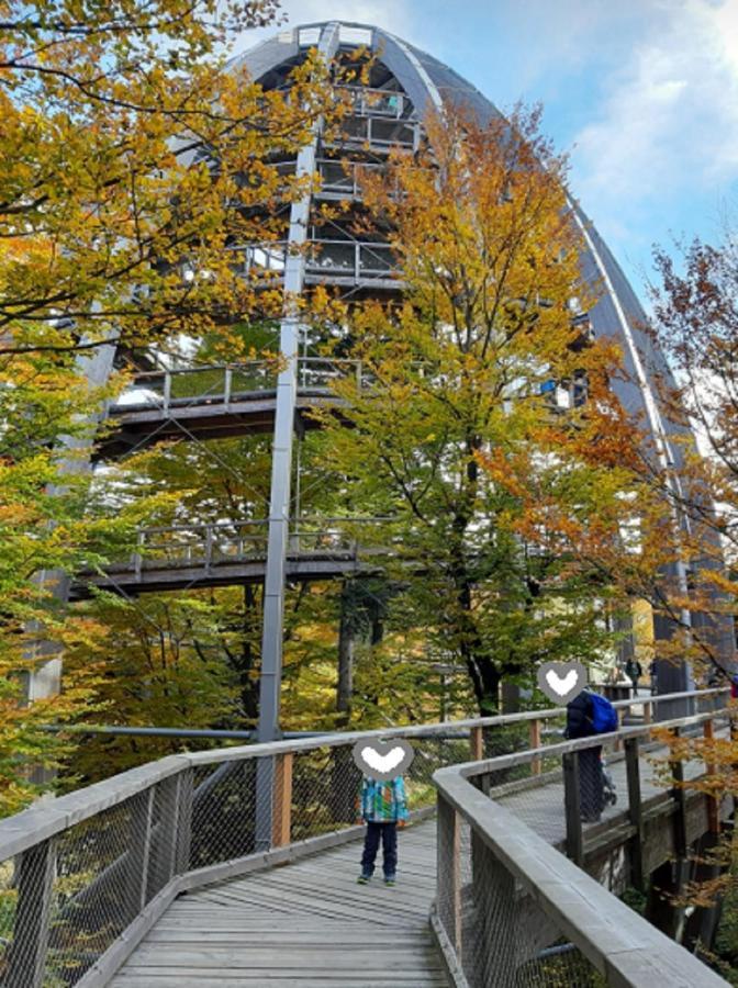Traumblick Bayerischer Wald, Pool & Sauna, Getraenke, Klimaanlage Freyung Zewnętrze zdjęcie