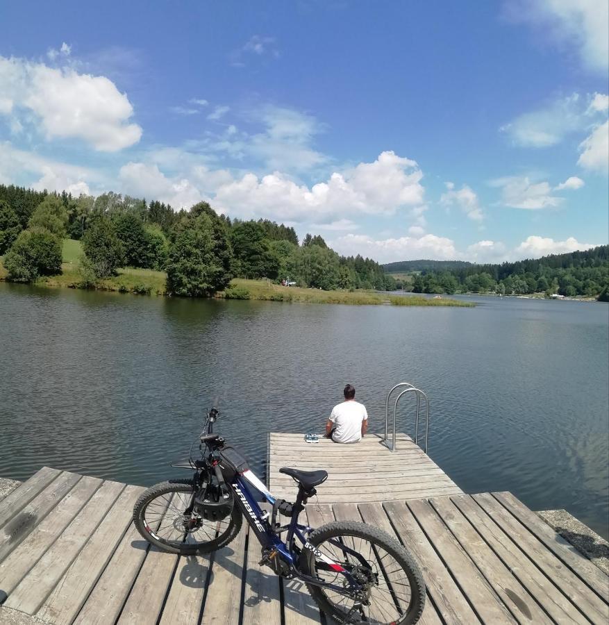 Traumblick Bayerischer Wald, Pool & Sauna, Getraenke, Klimaanlage Freyung Zewnętrze zdjęcie